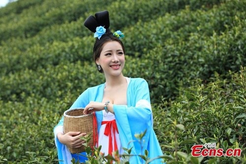 Mỹ nữ Trung Quốc diện y phục cung đình lên núi hái chè - 3